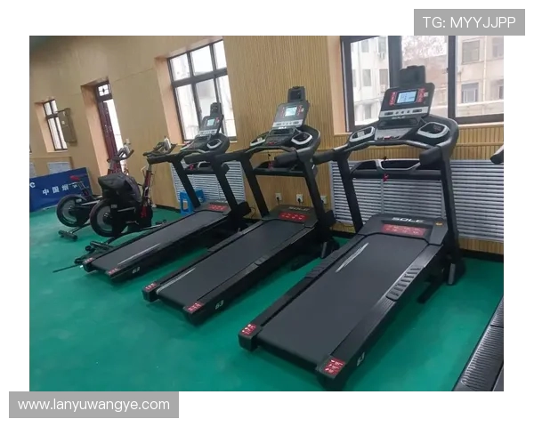 速尔健身器材系列产品推荐:速尔品牌健身器材的优势与高性价比产品推荐 速尔健身器材系列产品推荐:速尔品牌健身器材的优势与高性价比产品推荐