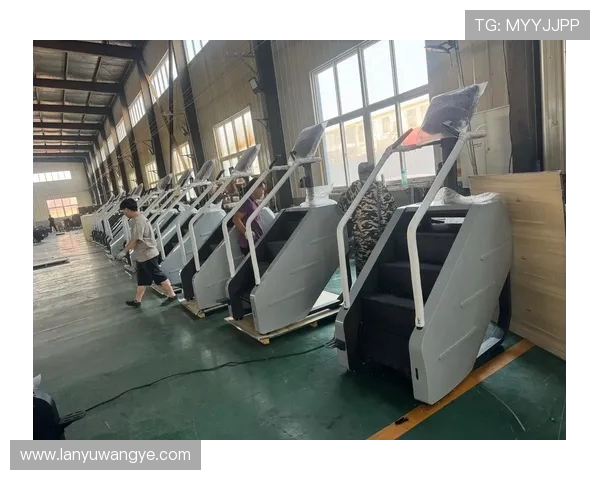 德州健身器材专卖市场现状与销售热点品牌 德州健身器材专卖市场现状与销售热点品牌