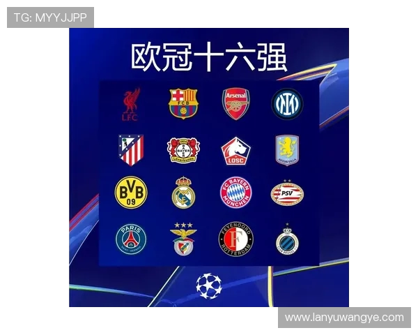 德甲各支球队会员人数排名最新出炉 德甲各支球队会员人数排名最新出炉