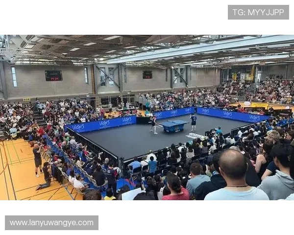 德甲球队各球队球迷：德甲各队球迷文化与热情